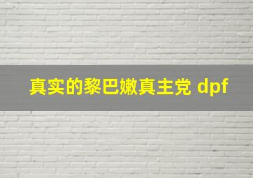 真实的黎巴嫩真主党 dpf